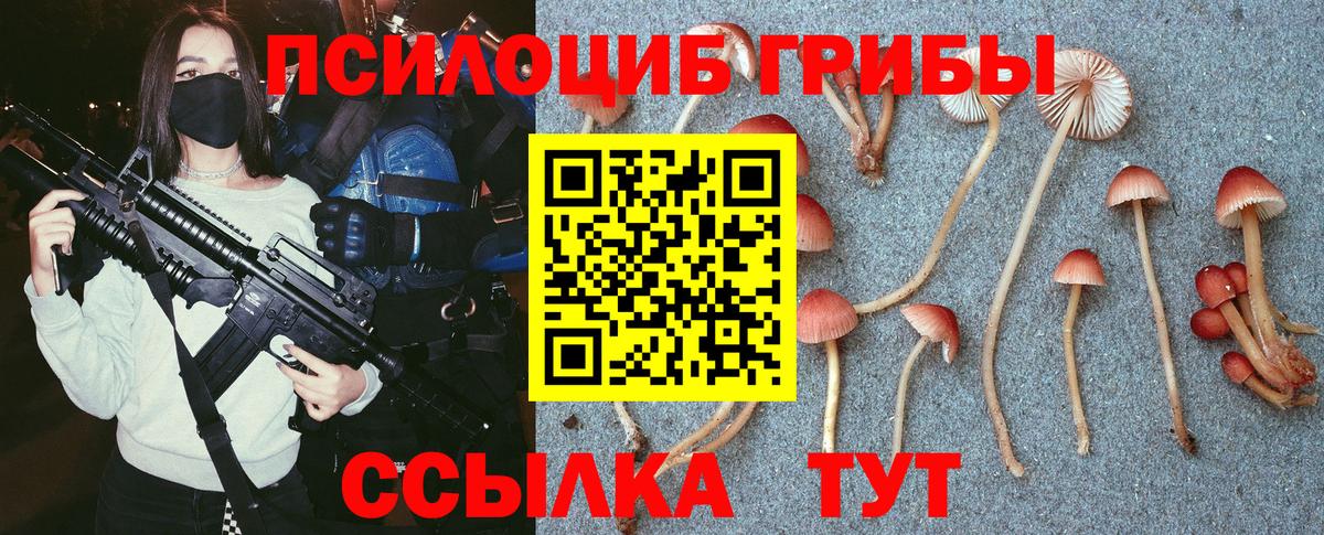 Моздок  Галлюциногенные грибы Psilocybe  Вход с VPN 