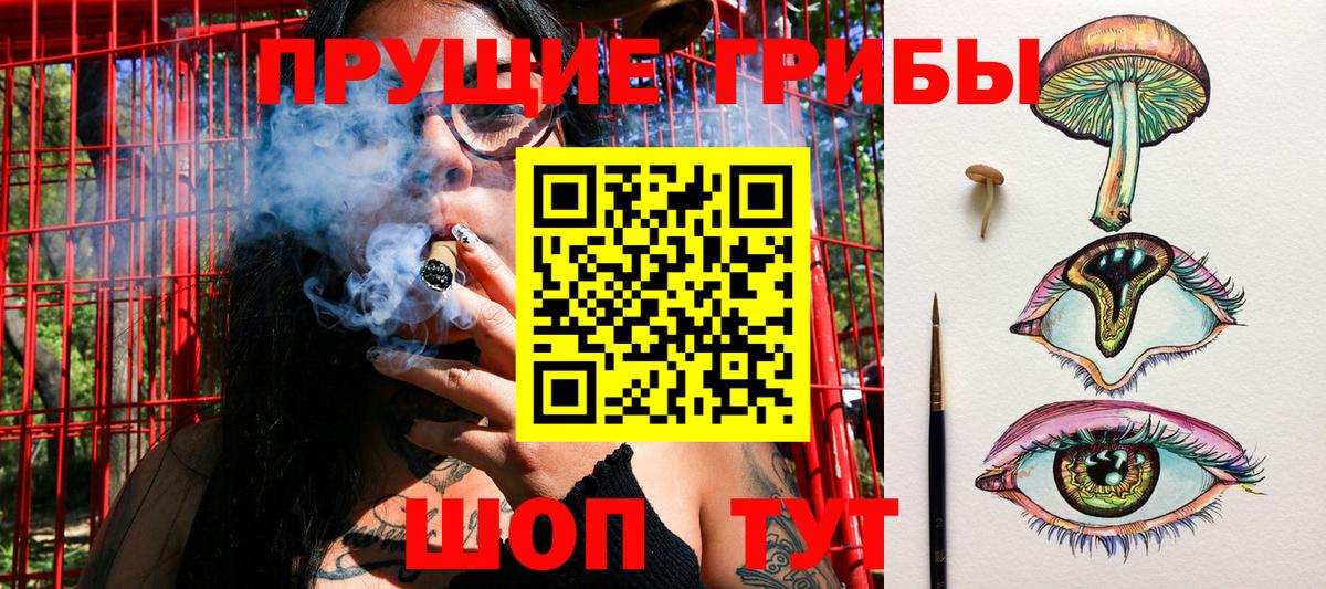Галлюциногенные грибы ЛСД Моздок